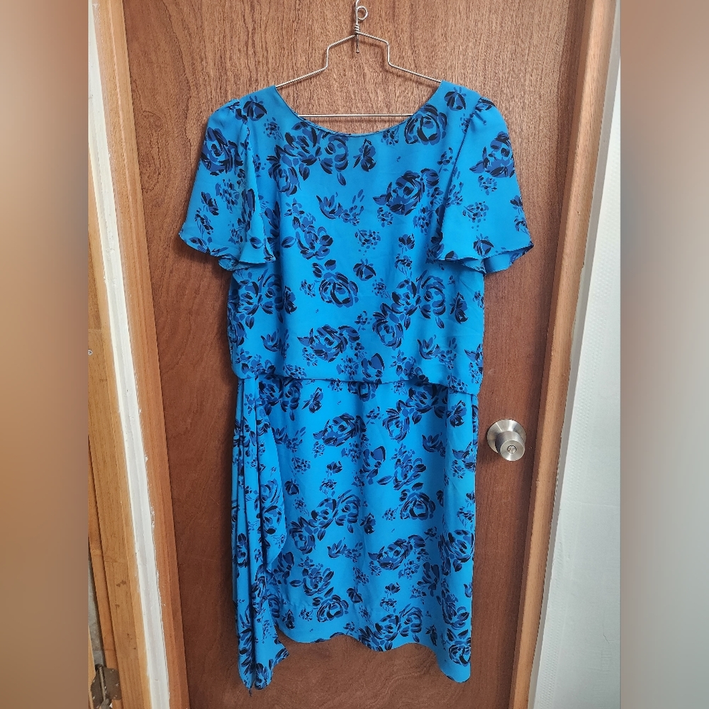 Vintage Floral Blue Dress with Ruffles Shorts Sleeves Plus Size (18)